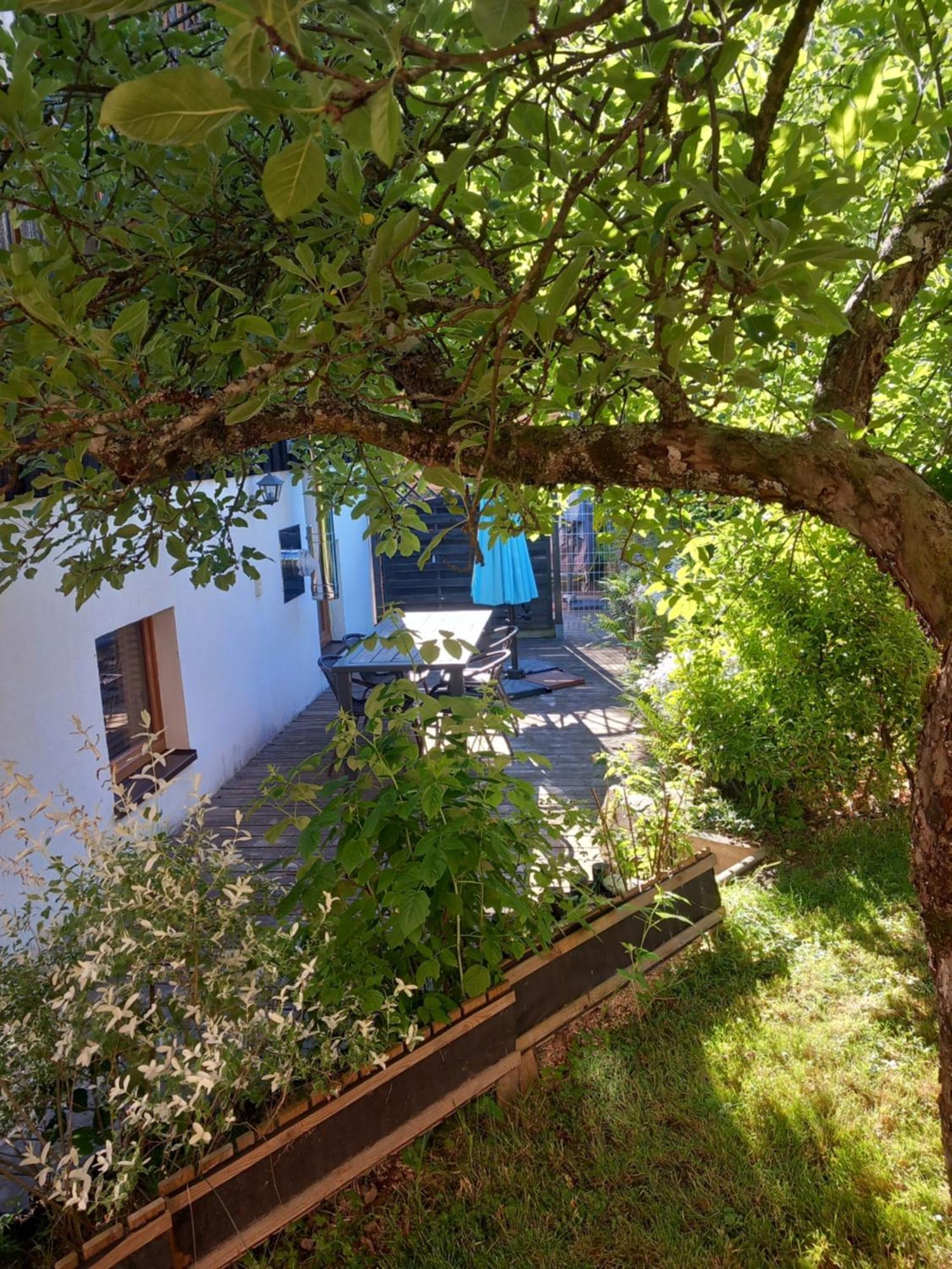 Appartement Cocon de St Pierre à Sainte-Marie-aux-Mines Extérieur photo